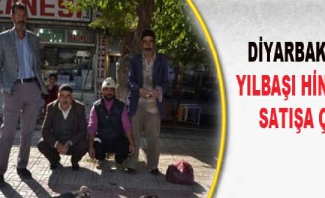 Diyarbakır'da Yılbaşı Hindileri Satışa Çıktı