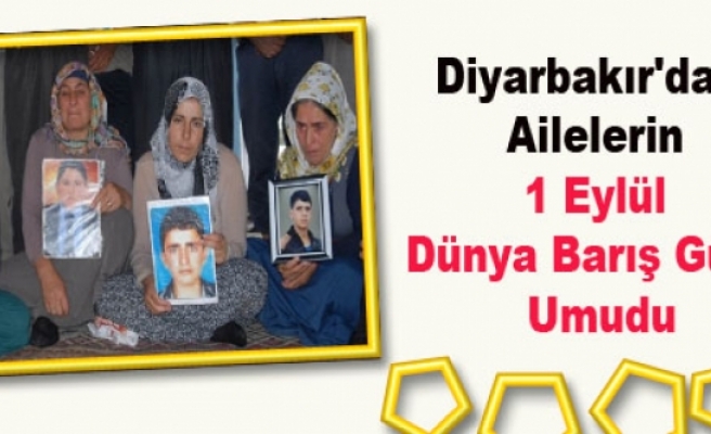 Diyarbakır'daki Ailelerin 1 Eylül Dünya Barış Günü Umudu