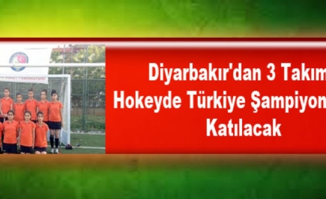 Diyarbakır'dan 3 Takım, Hokeyde Türkiye Şampiyonasına Katılacak