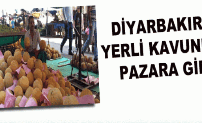 Diyarbakır'ın Yerli Kavunları Pazara Girdi