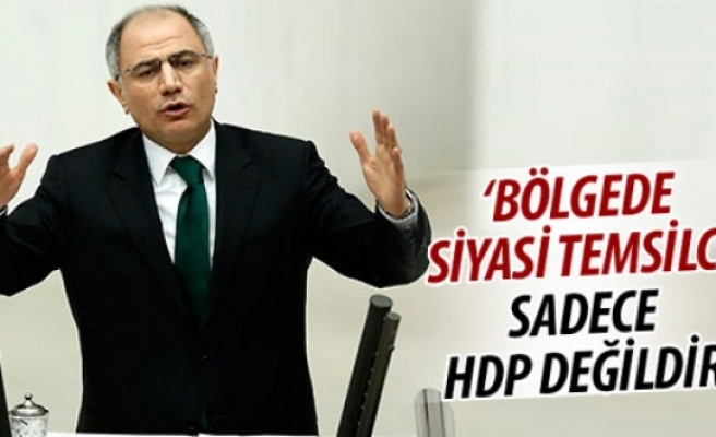 Efkan Ala: Bölgede siyasi temsilci sadece HDP değildir