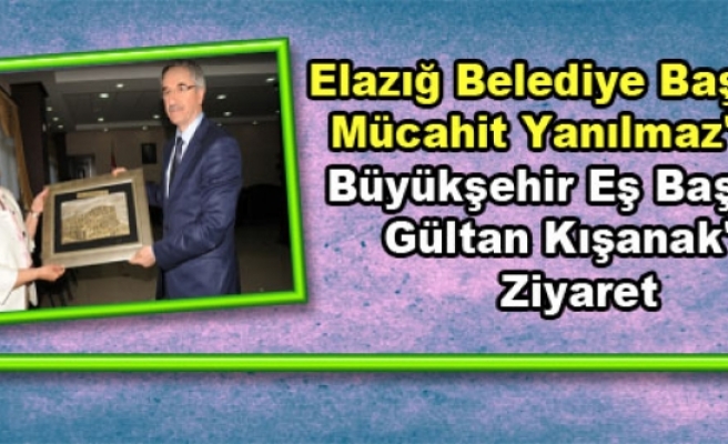 Elazığ Belediye Başkanı Yanılmaz'dan Kışanak'a Ziyaret