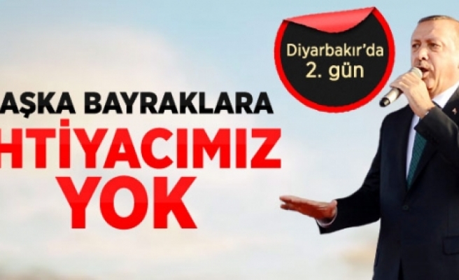 Erdoğan, Diyarbakır'da Toplu Açılış Töreninde Konuştu
