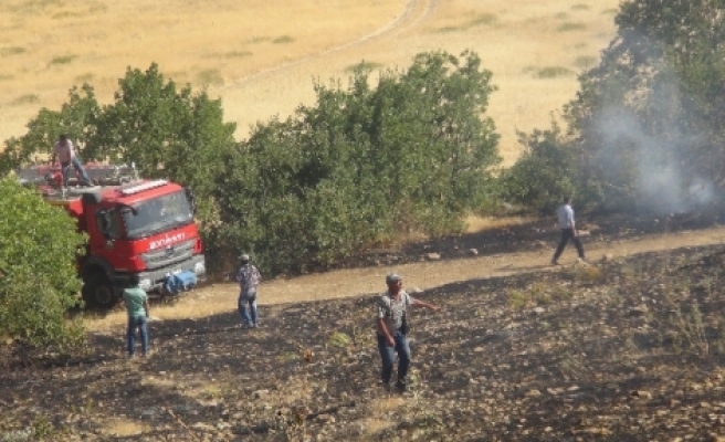 Ergani'de Meşelik Alan Yangını 