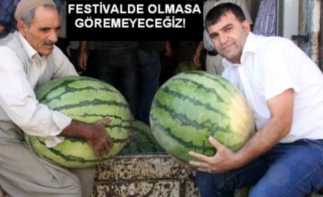 Festival de Olmasa Diyarbakır Karpuzu Tarihe Karışacak