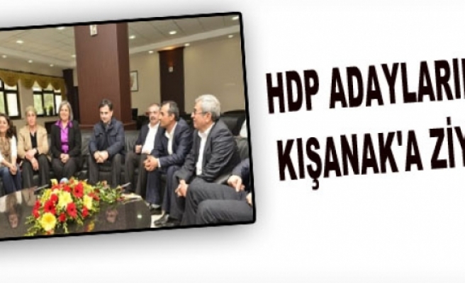 HDP Adaylarından Kışanak'a Ziyaret