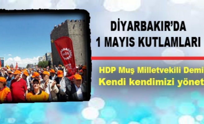 HDP Muş Milletvekili Demir Çelik: Kendi kendimizi yöneteceğiz