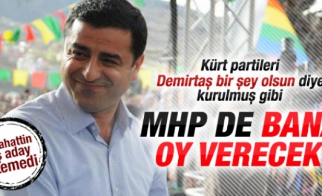 HDP'nin adayı Selahattin Demirtaş