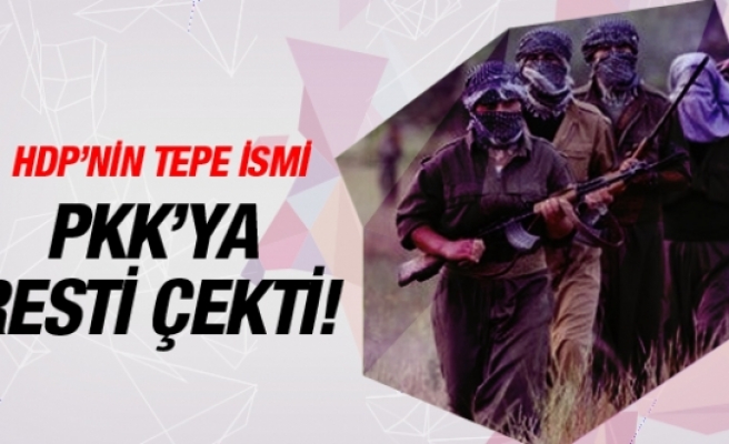 HDP'nin tepe isminden PKK'ya rest! Kayıtsız şartsız...