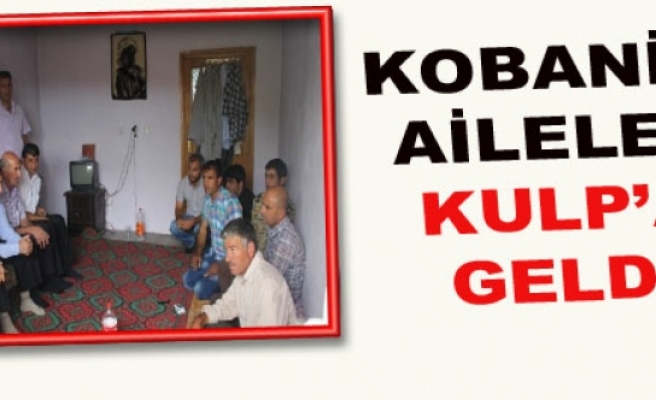  Kobanili 20 Aile Kulp'a Geldi