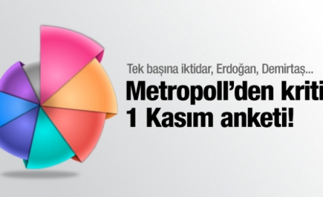 Metropoll 1 Kasım anketini iş adamlarına açıkladı