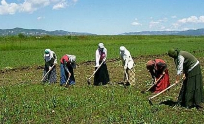 Mevsimlik Tarım İşçileri Çözüm Sürecinden Umutlu