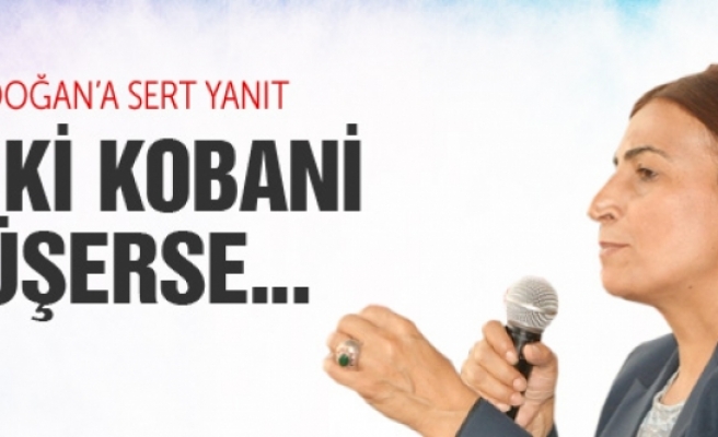 Tuğluk'tan Erdoğan'a sert Kobani yanıtı