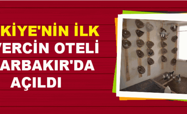 Türkiye'nin İlk Güvercin Oteli Diyarbakır'da Açıldı