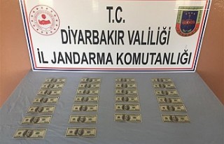 Diyarbakır'da sahte dolar operasyonu