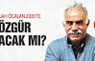 Abdullah Öcalan 2015'te özgür kalacak mı?