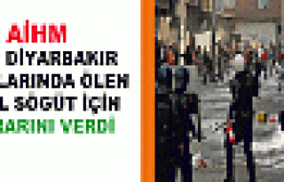 Aihm, 2006 Diyarbakır Olaylarında Ölen Halil Söğüt...