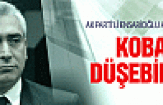 AK Parti'li Ensarioğlu: Kobani şu an düşmüyor...