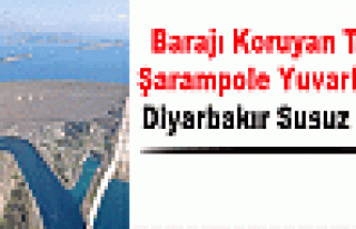 Barajı Koruyan Tank Şarampole Yuvarlandı, Diyarbakır...