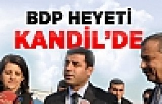 BDP Heyeti, Kandil'e Gitti