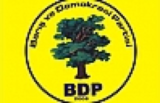 BDP'de Yerel Seçim Hazırlıkları
