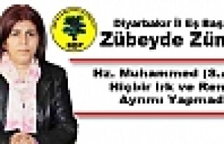 BDP'li Zümrüt: Hz. Muhammed Hiçbir Irk ve Renk...