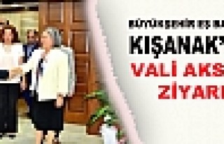 Belediye Başkanı Kışanak, Vali Aksoy'u Ziyaret...