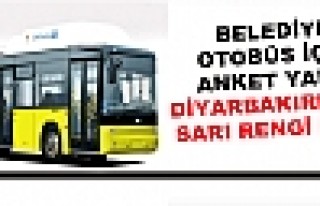 Belediye Otobüs İçin Anket Yaptı, Diyarbakırlılar...