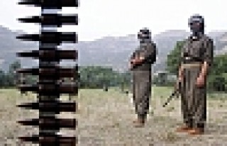 Bingöl'de, PKK'lılar Müteahhit Kaçırdı