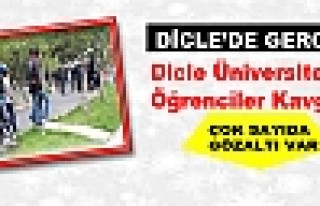 Dicle Üniversitesi'nde Öğrenciler Kavga Etti