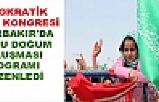 Dik, Diyarbakır'da 'Kutlu Doğum Buluşması' Programı...