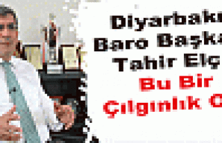 Diyarbakır Baro Başkanı Tahir Elçi: Bu Bir Çılgınlık...