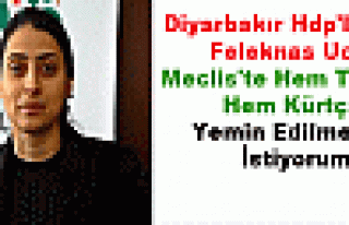 Diyarbakır Hdp'li Aday Feleknas Uca: Meclis'te Hem...