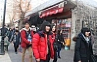 Diyarbakır'a Güney Koreli Ziyareti