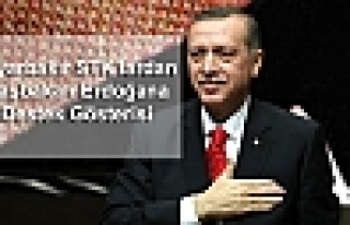 Diyarbakır'da Başbakan Erdoğan'a Destek Gösterisi