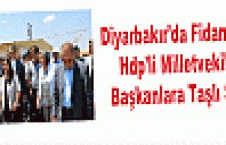 Diyarbakır'da Fidan Diken Hdp'li Milletvekili ve...