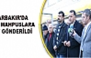 Diyarbakır'da Hasta Mahpuslara Kart Gönderildi