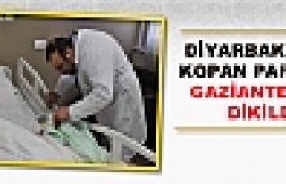 Diyarbakır'da Kopan Parmağı Gaziantep'te Dikildi