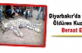 Diyarbakır'da Leopar Öldüren Kuzenler Beraat Etti