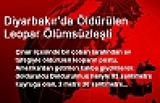 Diyarbakır'da Öldürülen Leopar Ölümsüzleşti