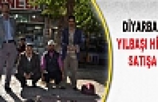 Diyarbakır'da Yılbaşı Hindileri Satışa Çıktı