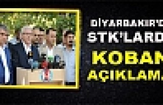 Diyarbakır'daki Stk'lardan Kobani Açıklaması