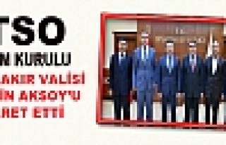 DTSO Yönetim Kurulu Vali Aksoy'u Ziyaret Etti