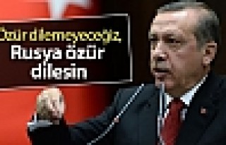 Erdoğan: Hava sahamızı ihlal eden Rusya'dan özür...