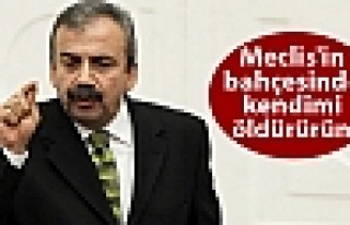 HDP'li Önder: Meclis'in bahçesinde kendimi öldürürüm