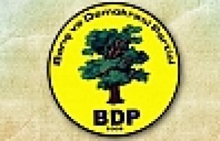 Karayılan'ın Kardeşi BDP'den Belediye Başkan Adayı