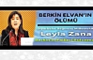 Leyla Zana: Berkin'in Failleri Bulunmalı