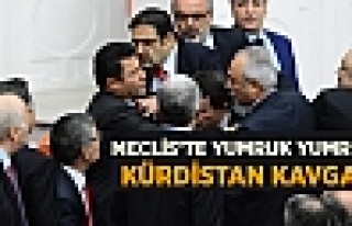 Meclis'te “Kürdistan“ Kavgası Çıktı, Yumruklar...
