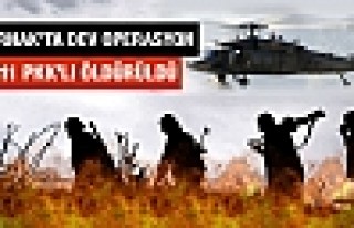 Şırnak'ta 10 bin askerle operasyon! 11 PKK'lı öldürüldü