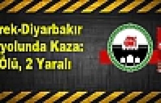 Siverek-Diyarbakır Karayolunda Kaza: 1 Ölü, 2 Yaralı